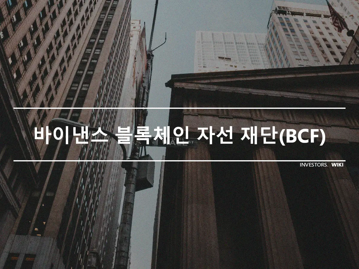 바이낸스 블록체인 자선 재단(BCF)