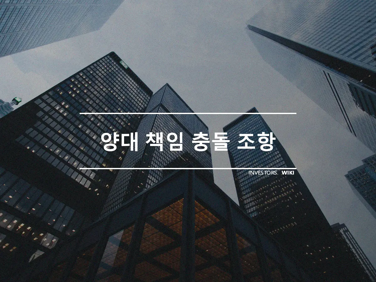 양대 책임 충돌 조항