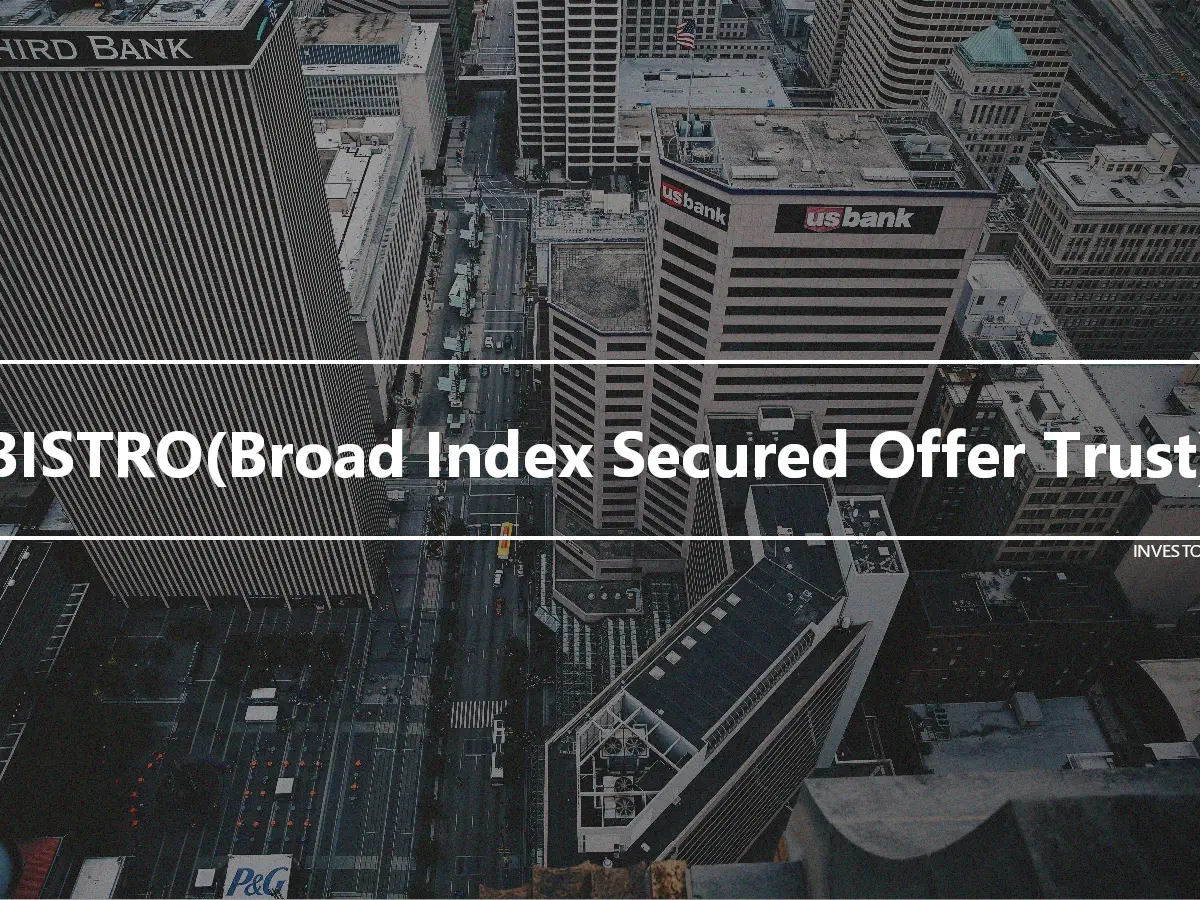 BISTRO(Broad Index Secured Offer Trust)