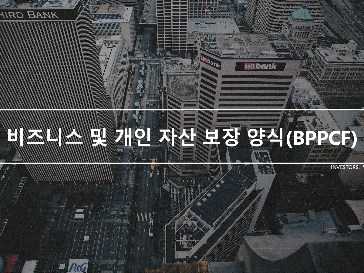 비즈니스 및 개인 자산 보장 양식(BPPCF)