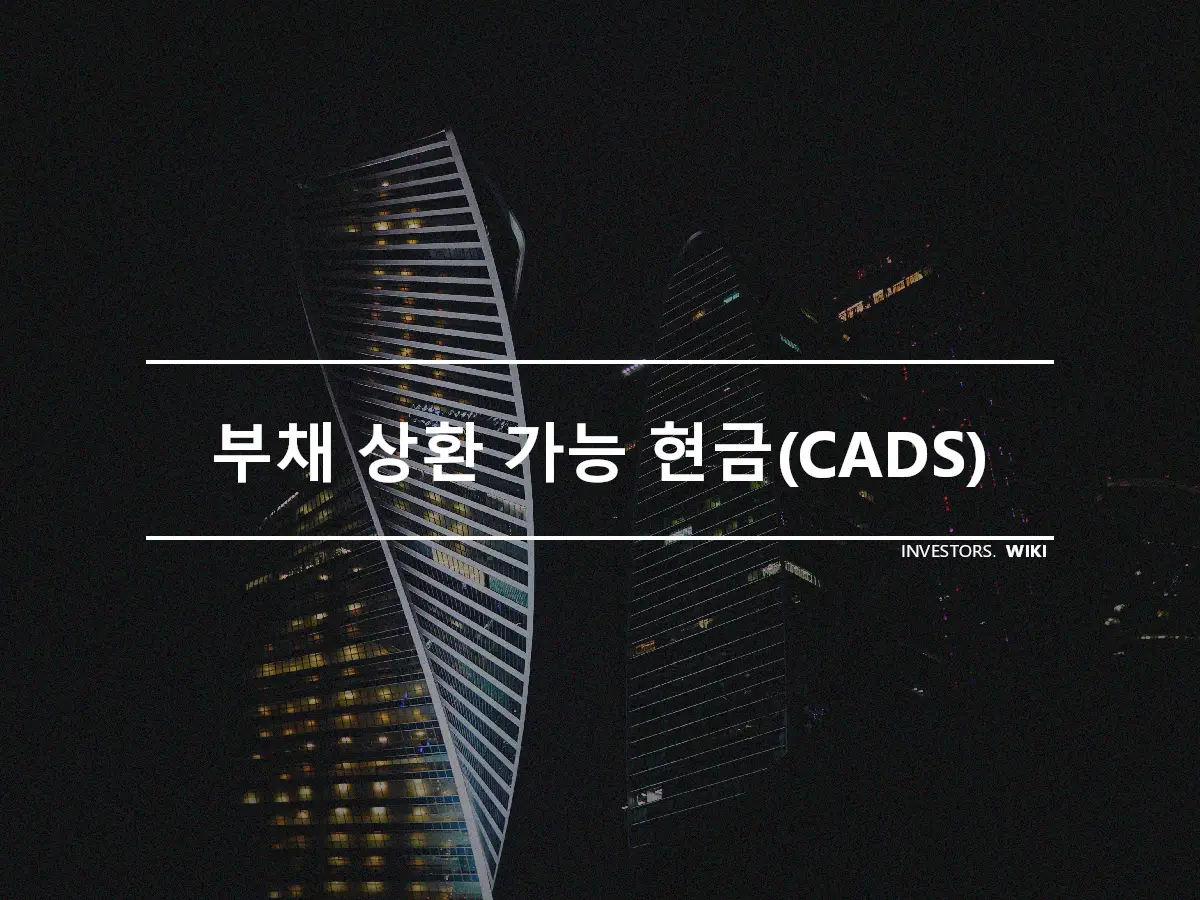 부채 상환 가능 현금(CADS)