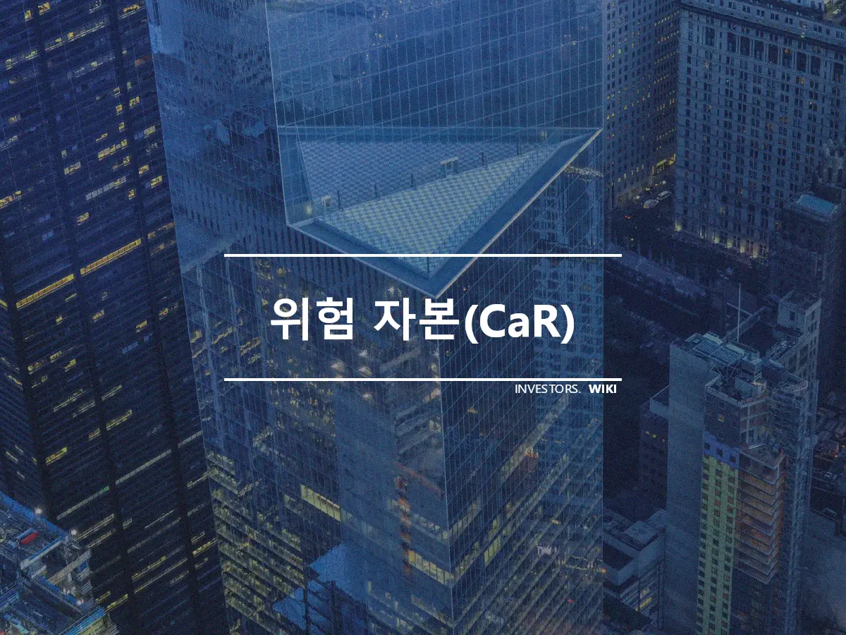 위험 자본(CaR)