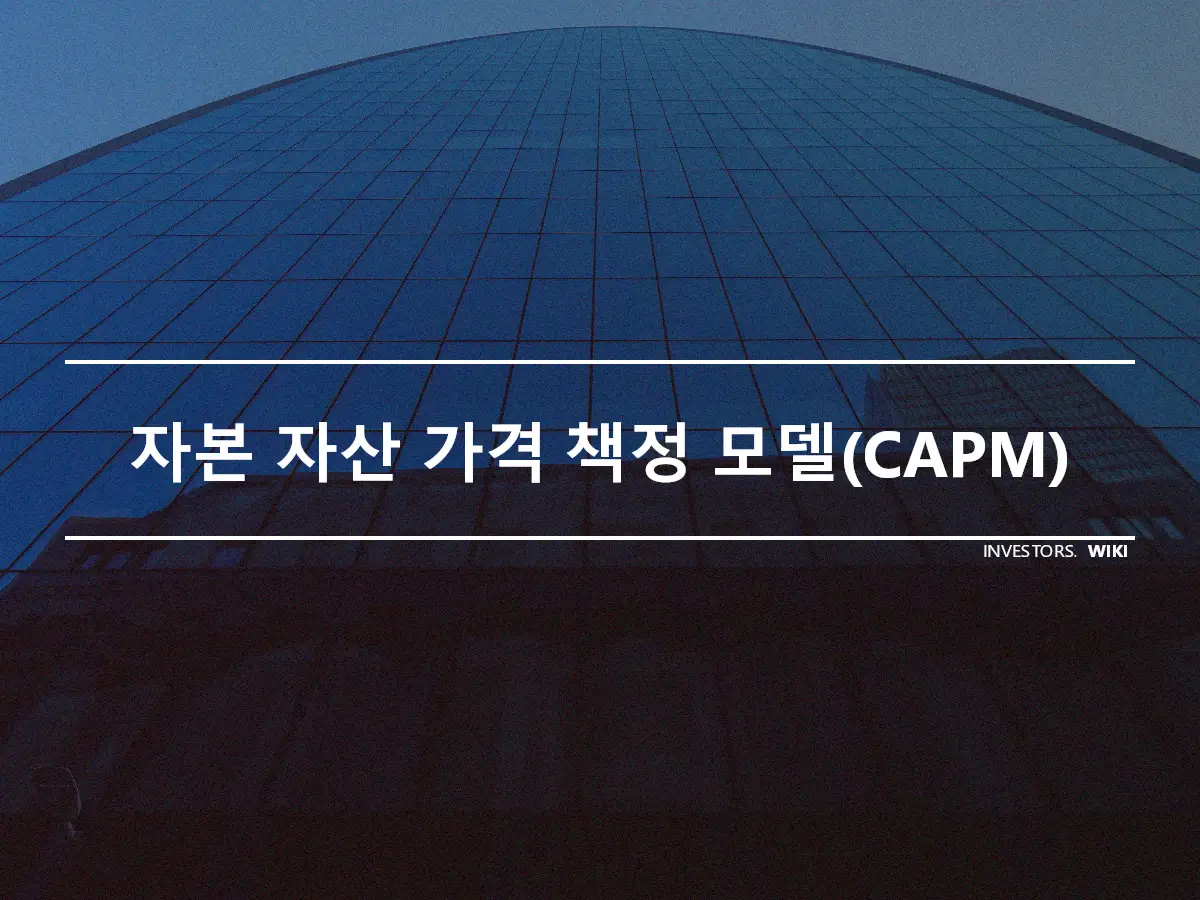 자본 자산 가격 책정 모델(CAPM)