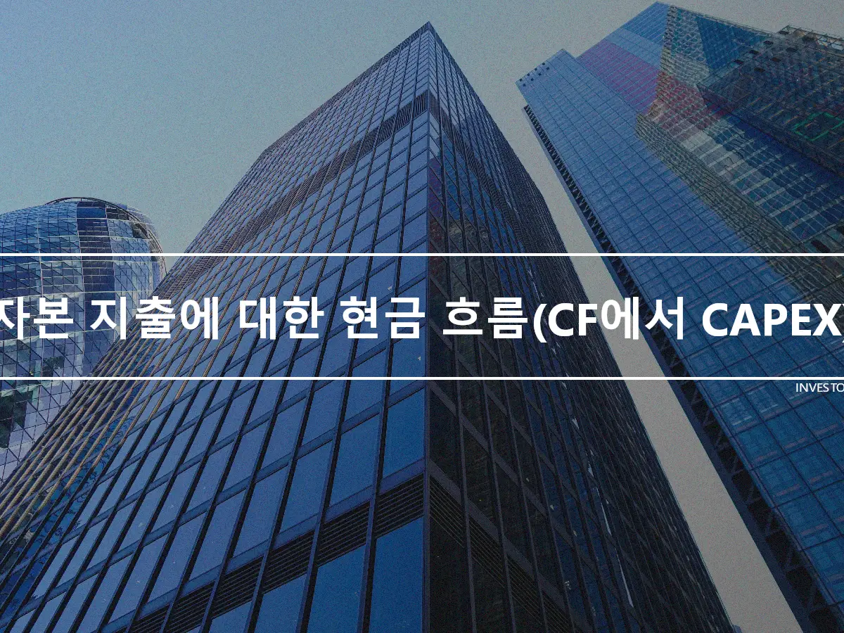 자본 지출에 대한 현금 흐름(CF에서 CAPEX)