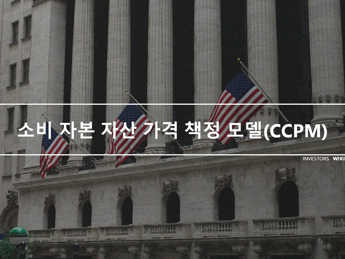 소비 자본 자산 가격 책정 모델(CCPM)