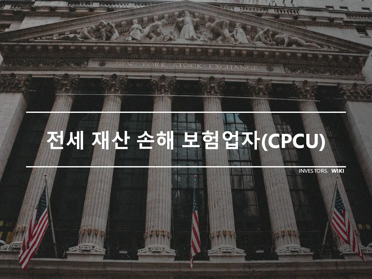 전세 재산 손해 보험업자(CPCU)