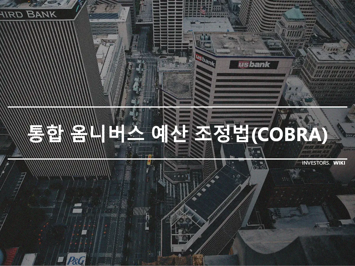 통합 옴니버스 예산 조정법(COBRA)
