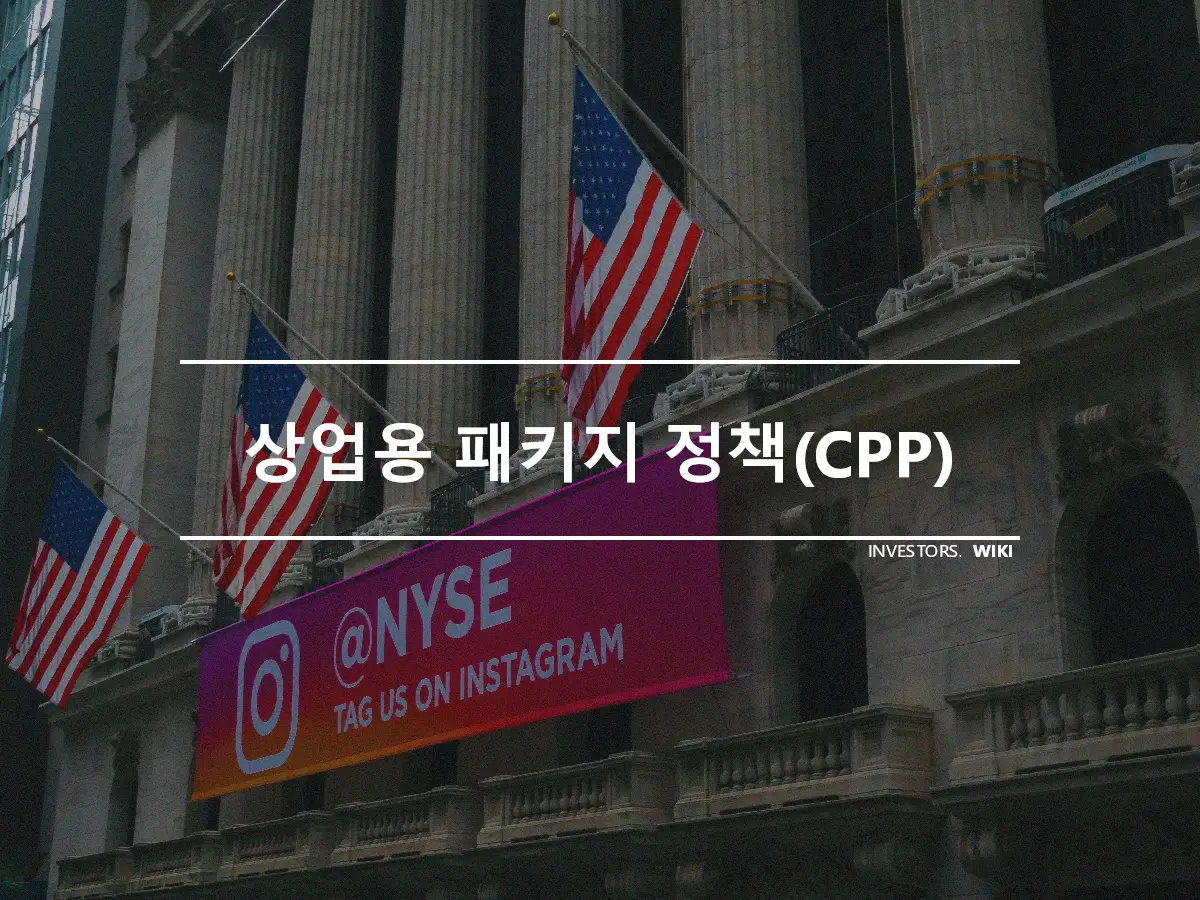 상업용 패키지 정책(CPP)