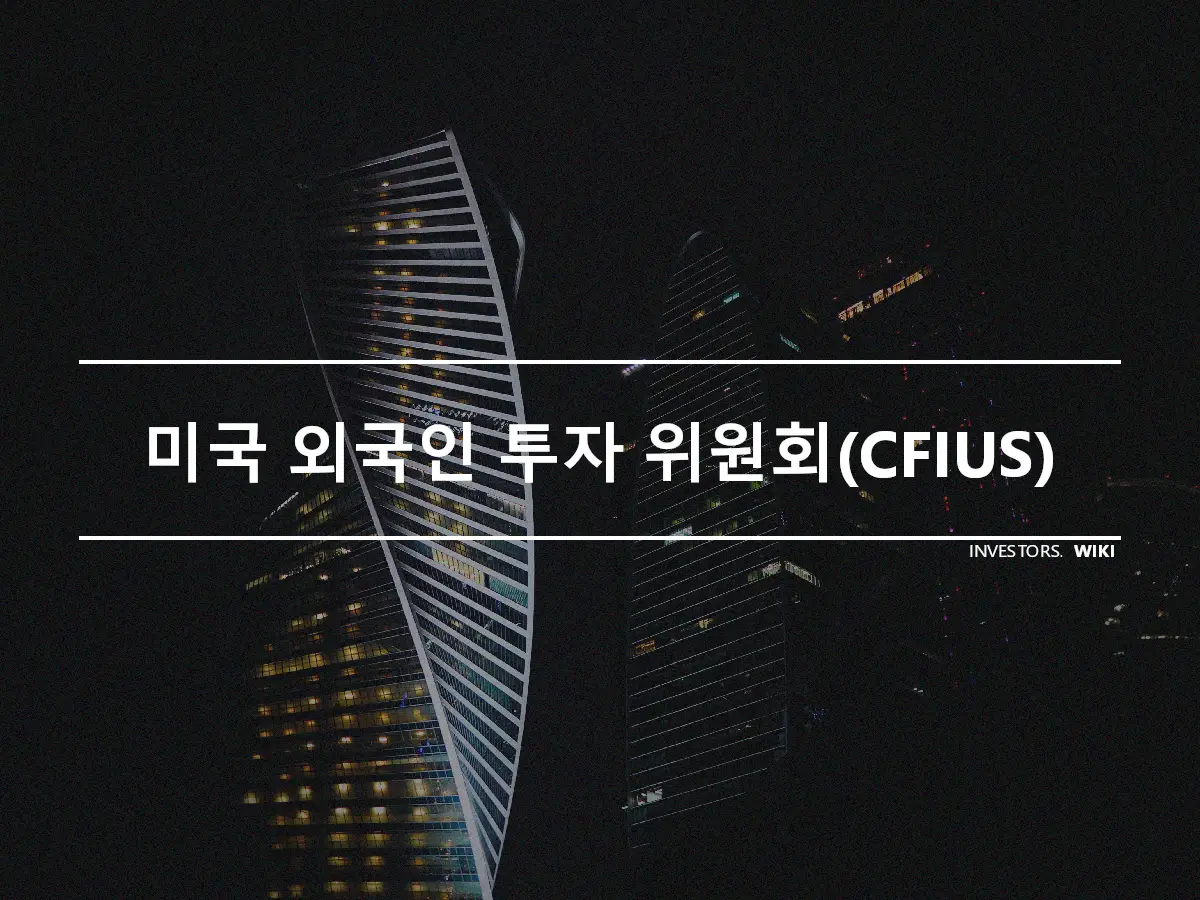 미국 외국인 투자 위원회(CFIUS)