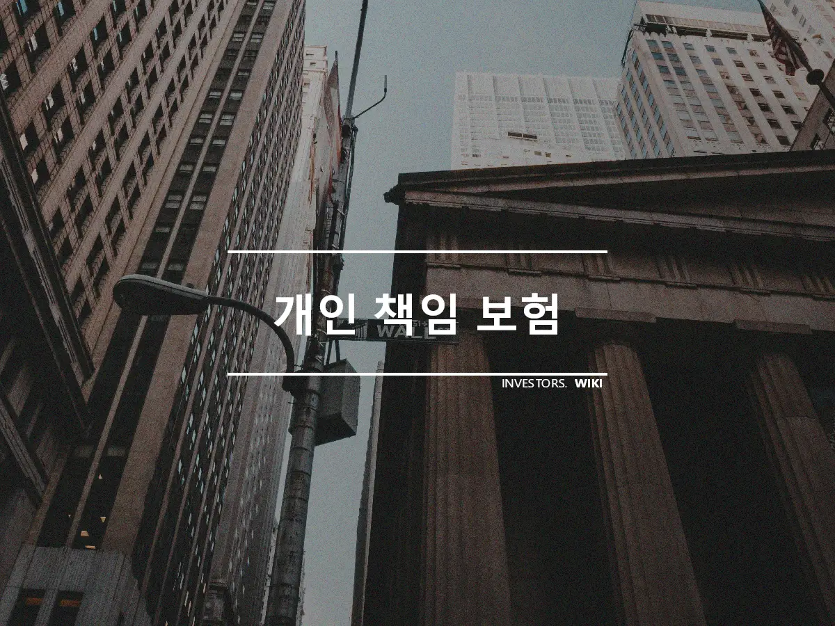 개인 책임 보험