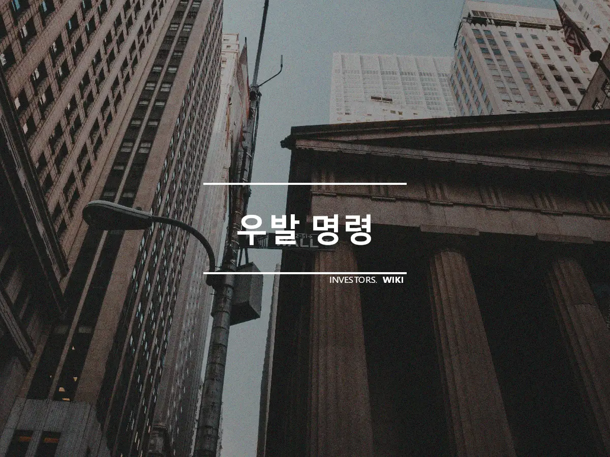 우발 명령