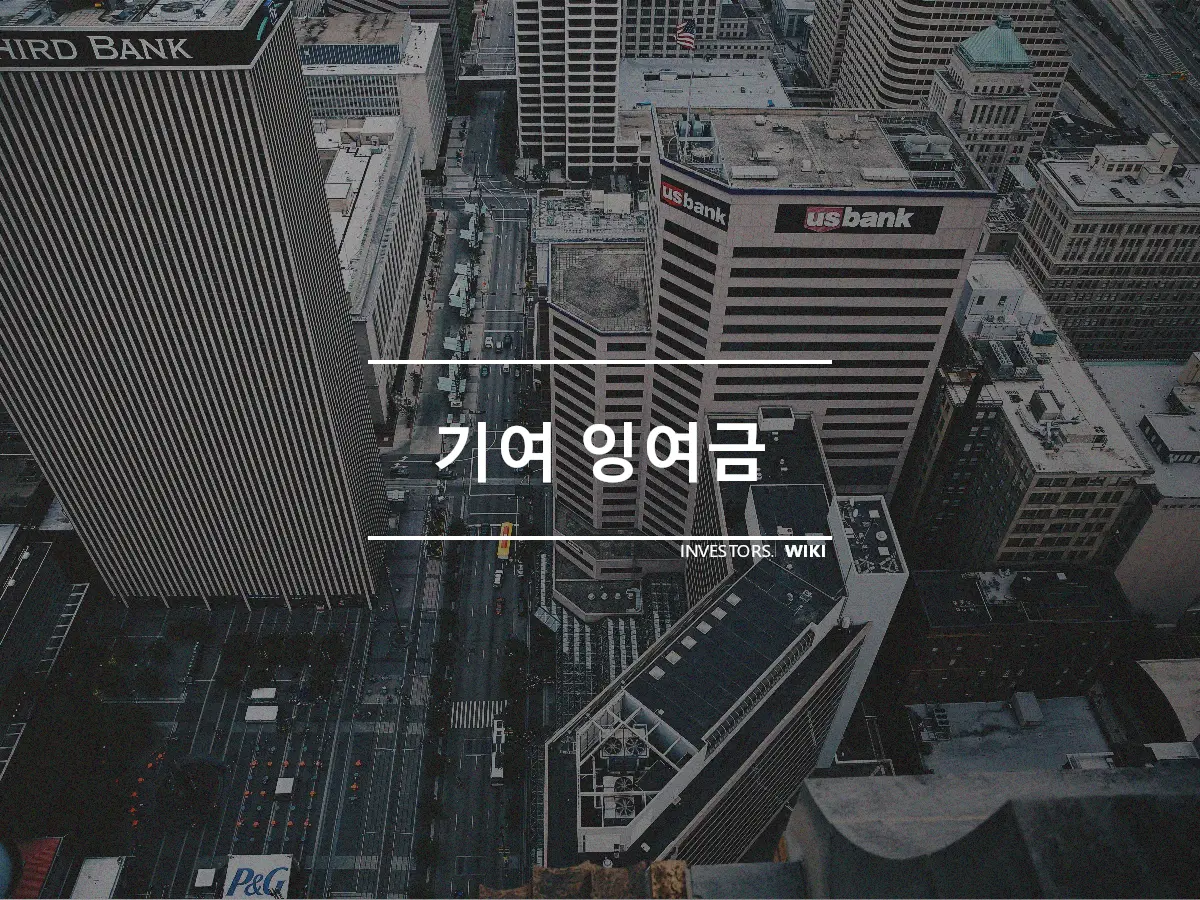 기여 잉여금