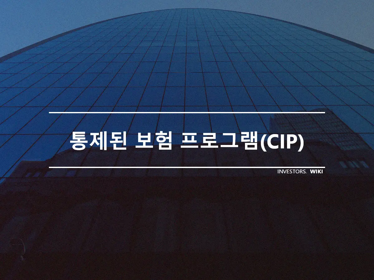 통제된 보험 프로그램(CIP)