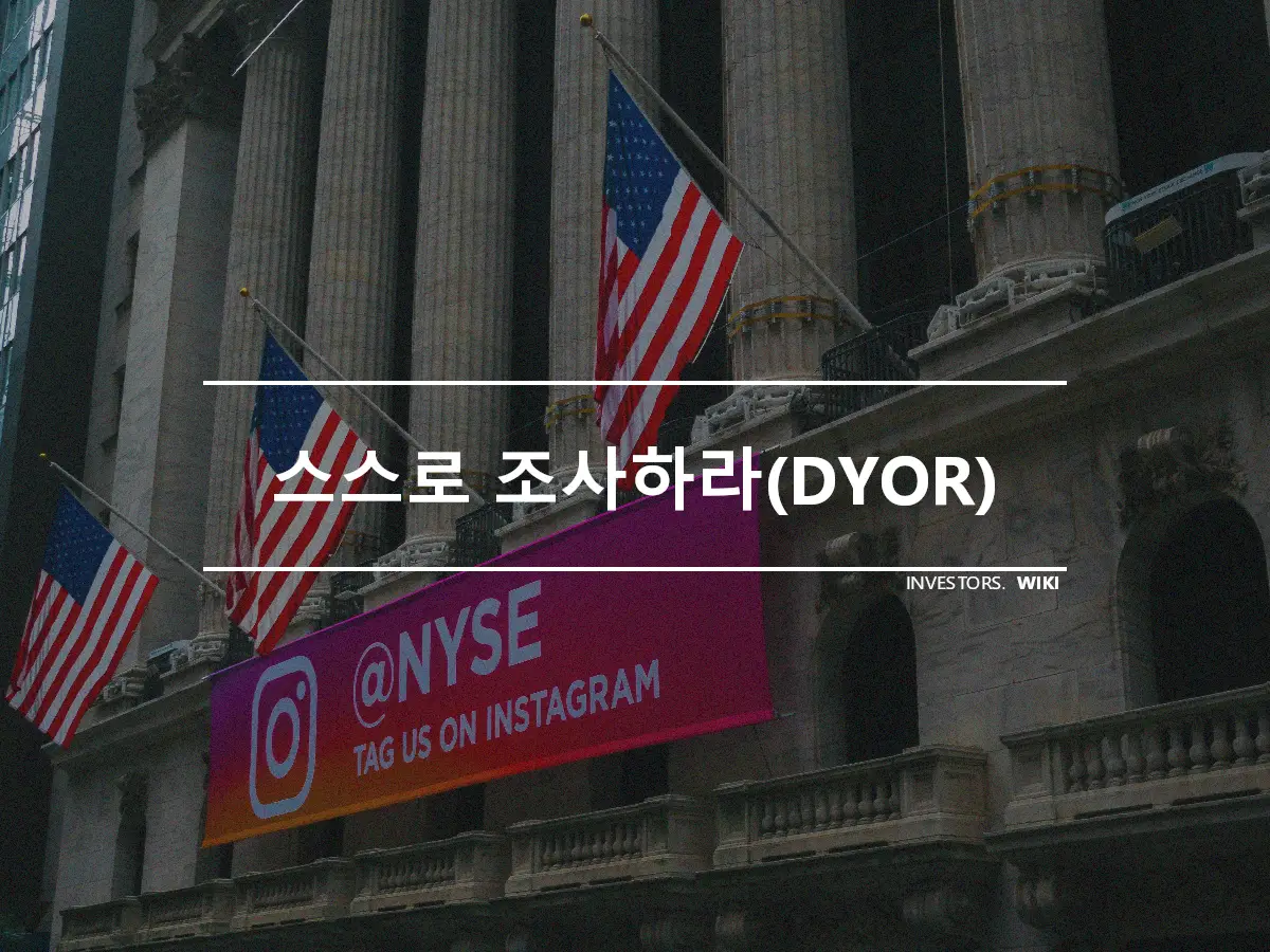 스스로 조사하라(DYOR)