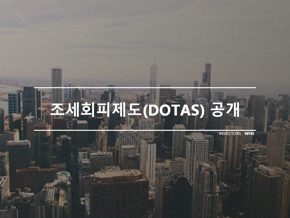 조세회피제도(DOTAS) 공개
