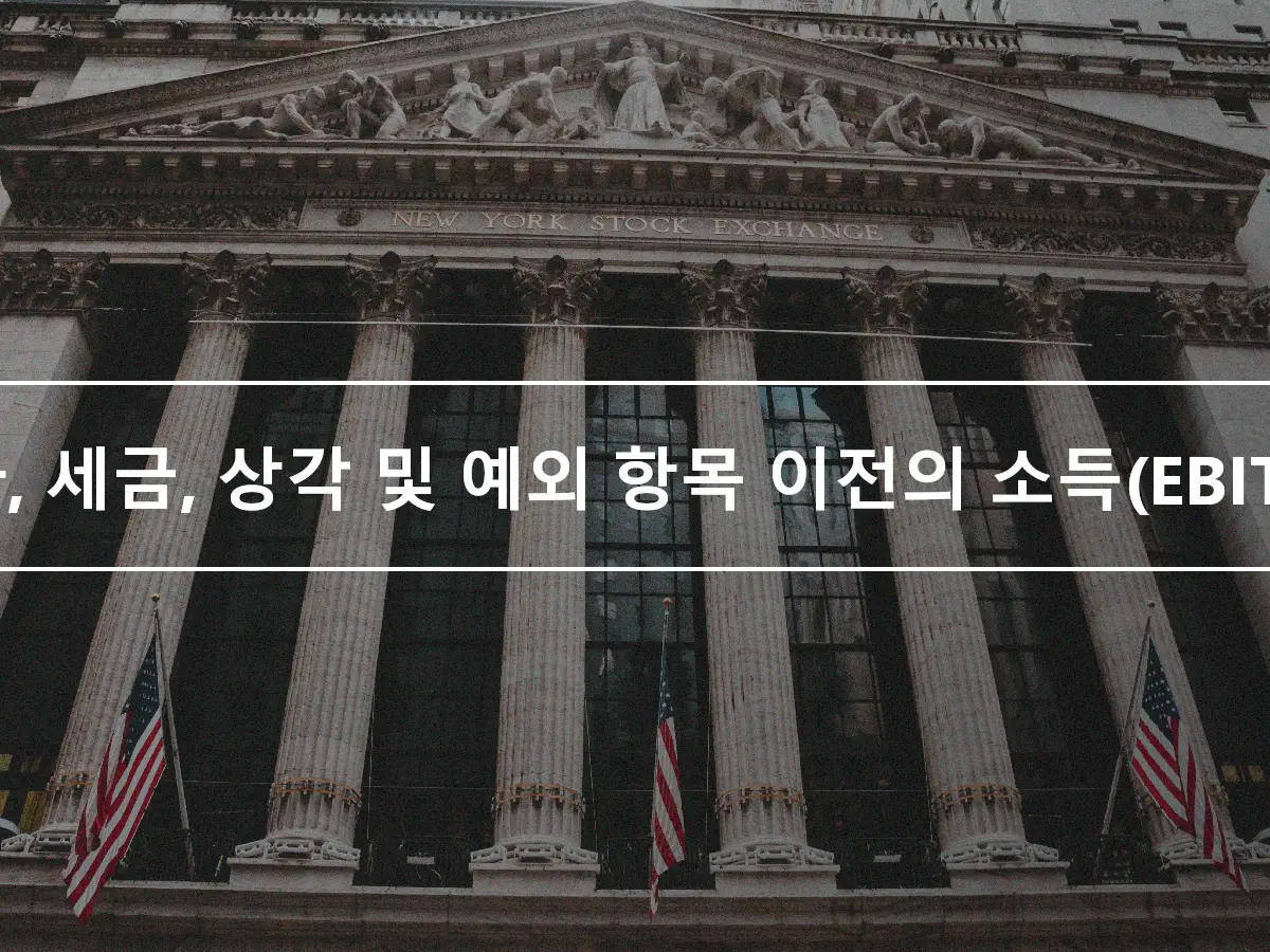 이자, 세금, 상각 및 예외 항목 이전의 소득(EBITAE)