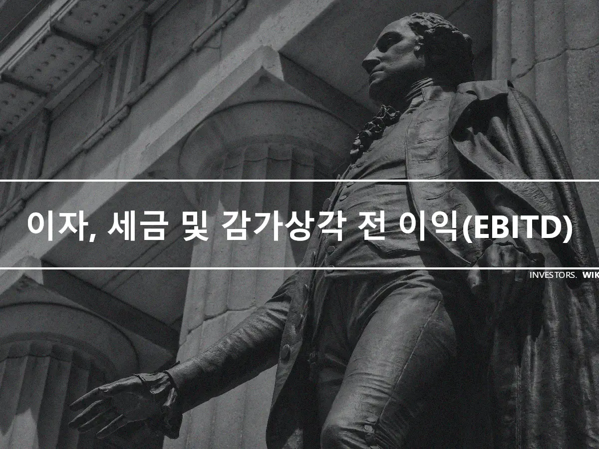 이자, 세금 및 감가상각 전 이익(EBITD)