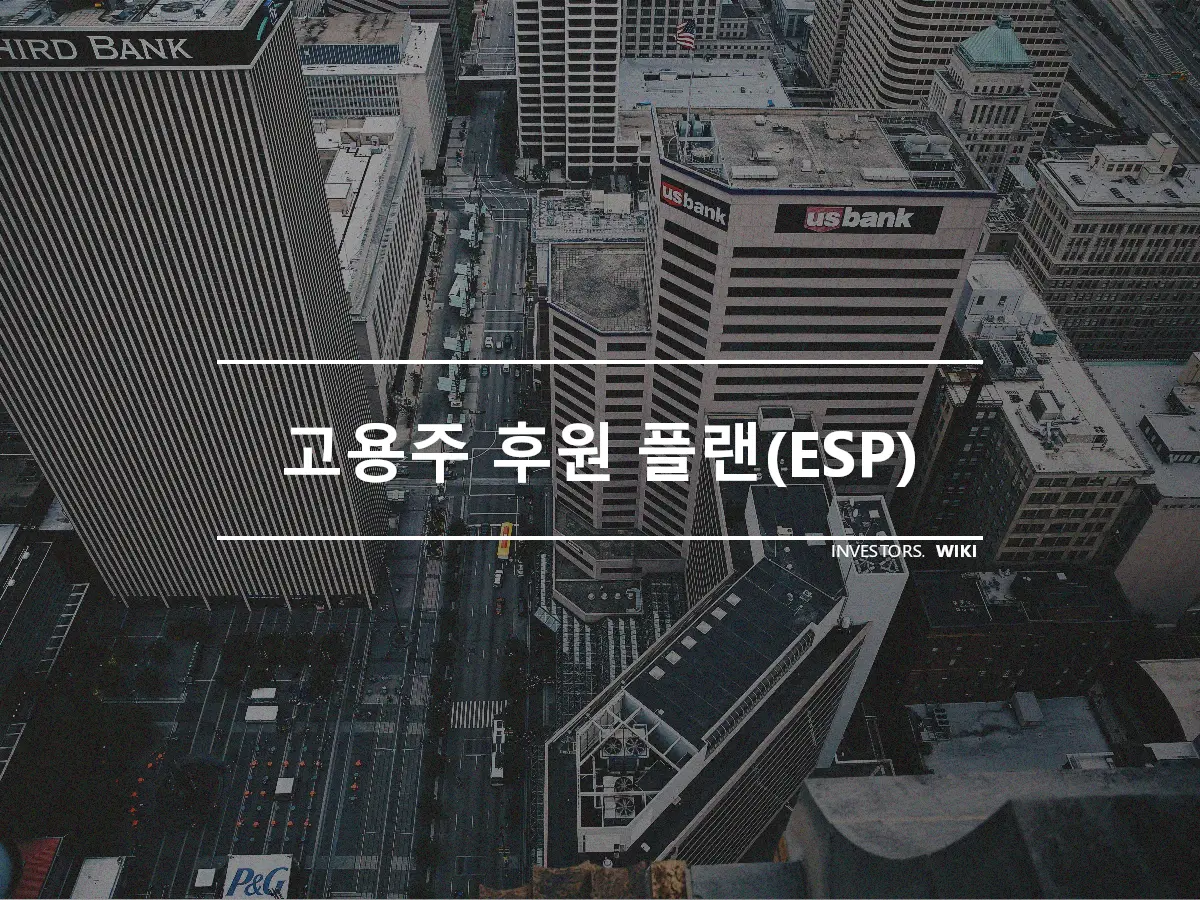 고용주 후원 플랜(ESP)