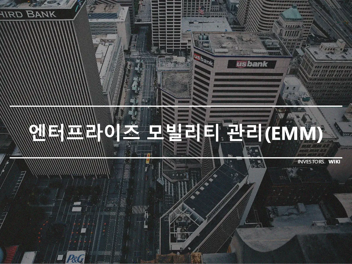 엔터프라이즈 모빌리티 관리(EMM)