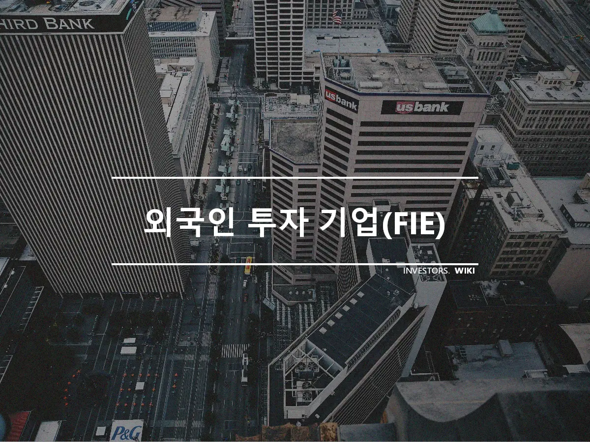 외국인 투자 기업(FIE)