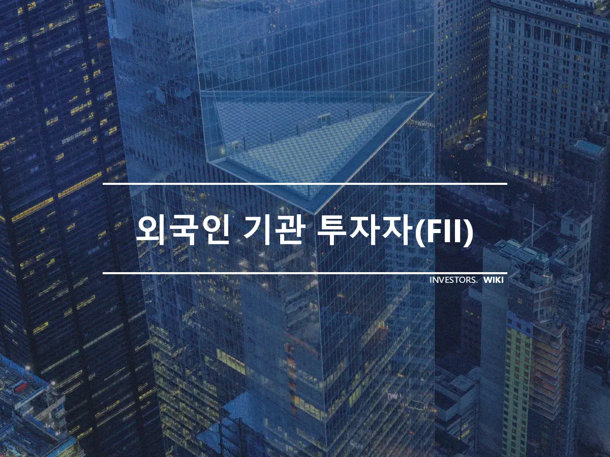 외국인 기관 투자자(FII)