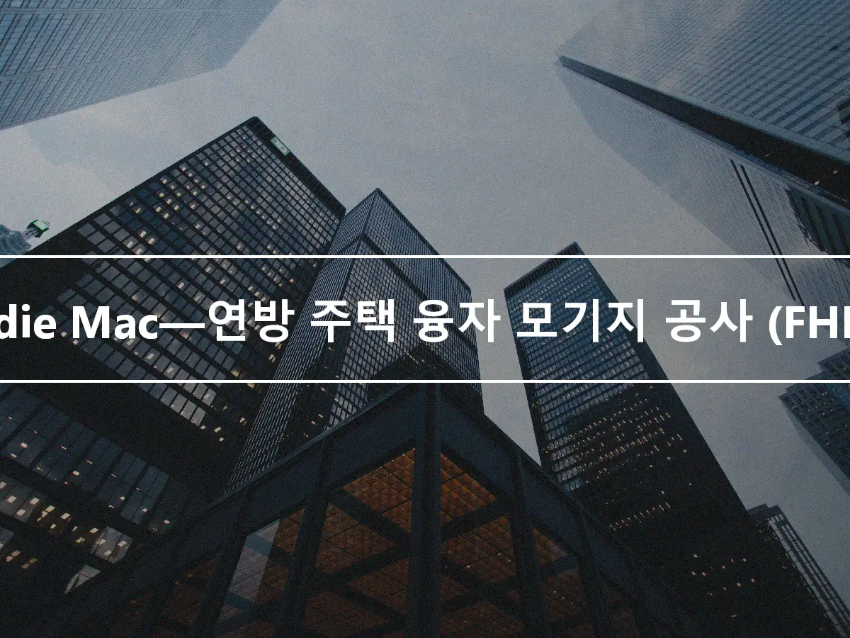 Freddie Mac—연방 주택 융자 모기지 공사 (FHLMC)