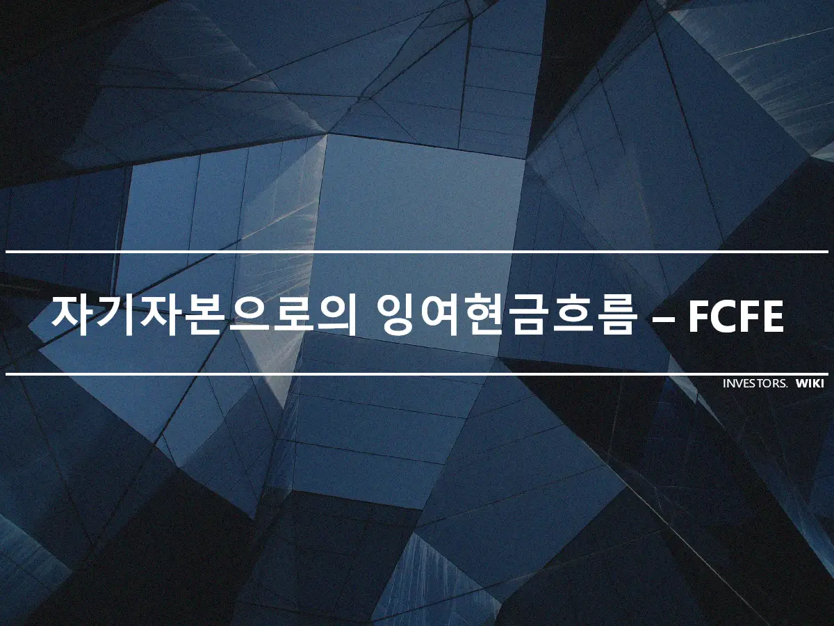 자기자본으로의 잉여현금흐름 – FCFE