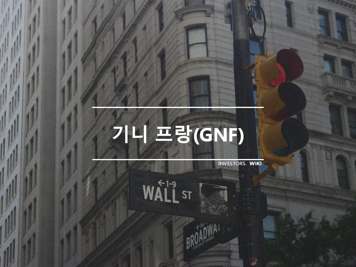 기니 프랑(GNF)