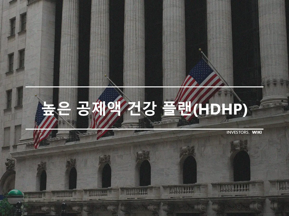 높은 공제액 건강 플랜(HDHP)