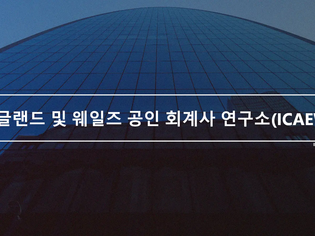 잉글랜드 및 웨일즈 공인 회계사 연구소(ICAEW)