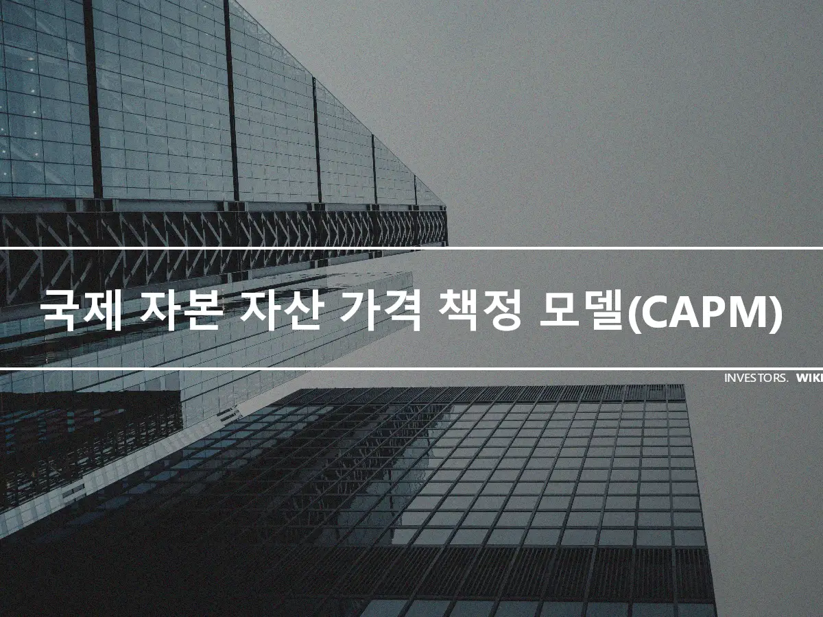 국제 자본 자산 가격 책정 모델(CAPM)