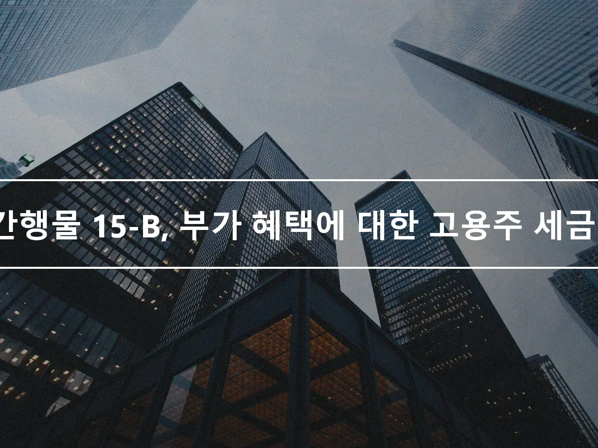 IRS 간행물 15-B, 부가 혜택에 대한 고용주 세금 안내