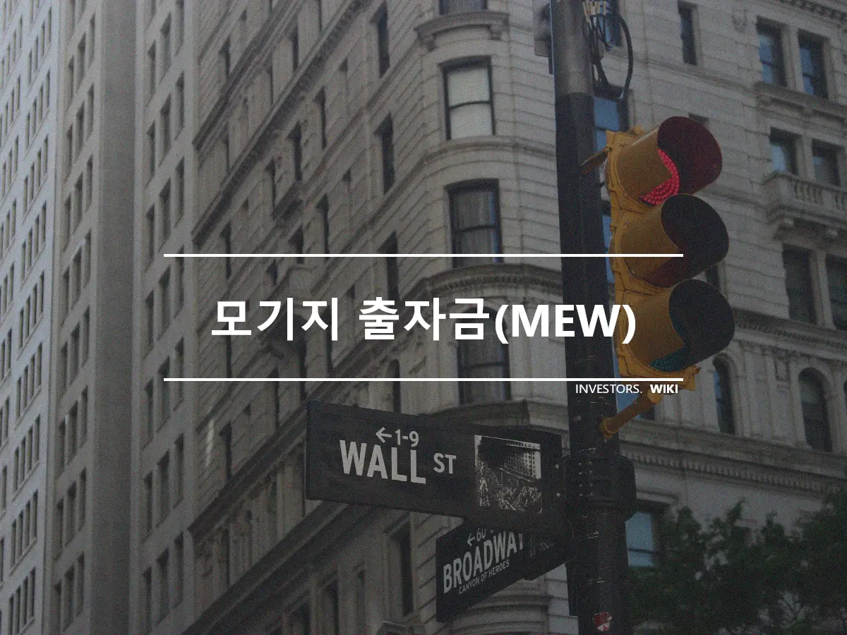 모기지 출자금(MEW)