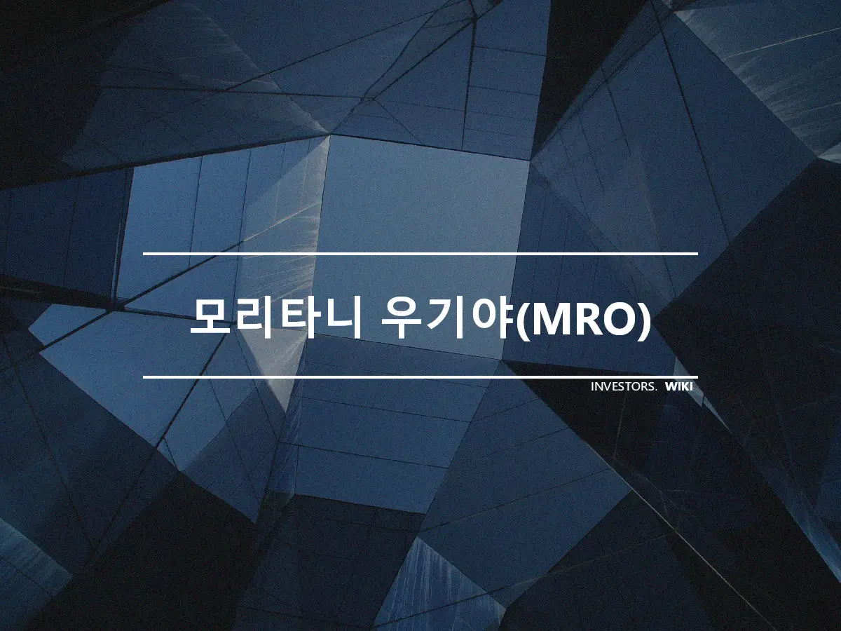 모리타니 우기야(MRO)