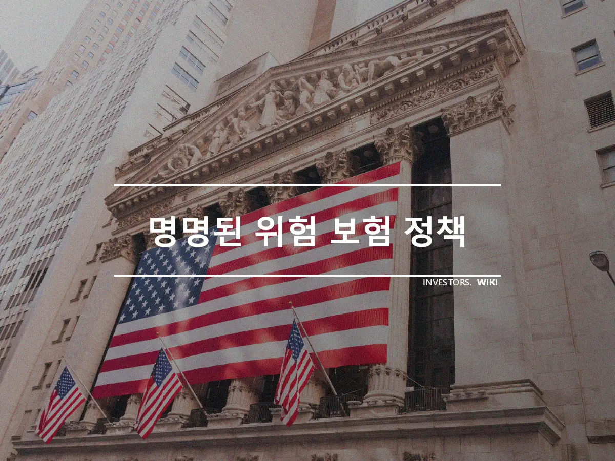 명명된 위험 보험 정책