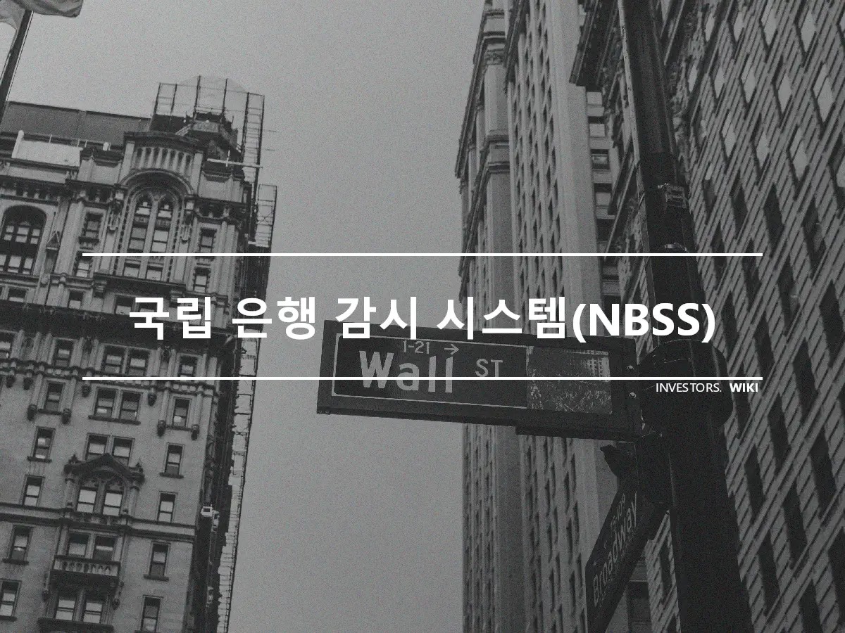 국립 은행 감시 시스템(NBSS)