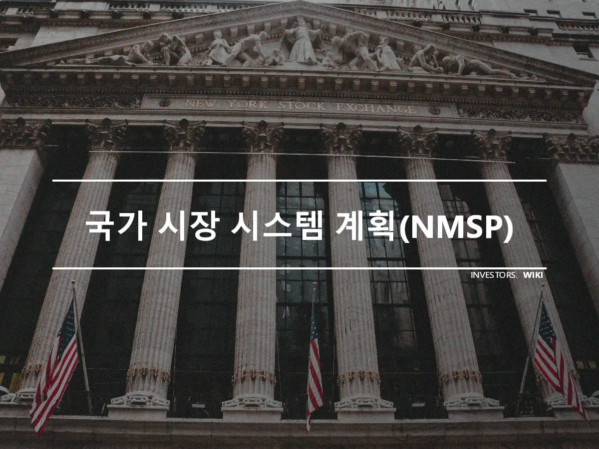 국가 시장 시스템 계획(NMSP)