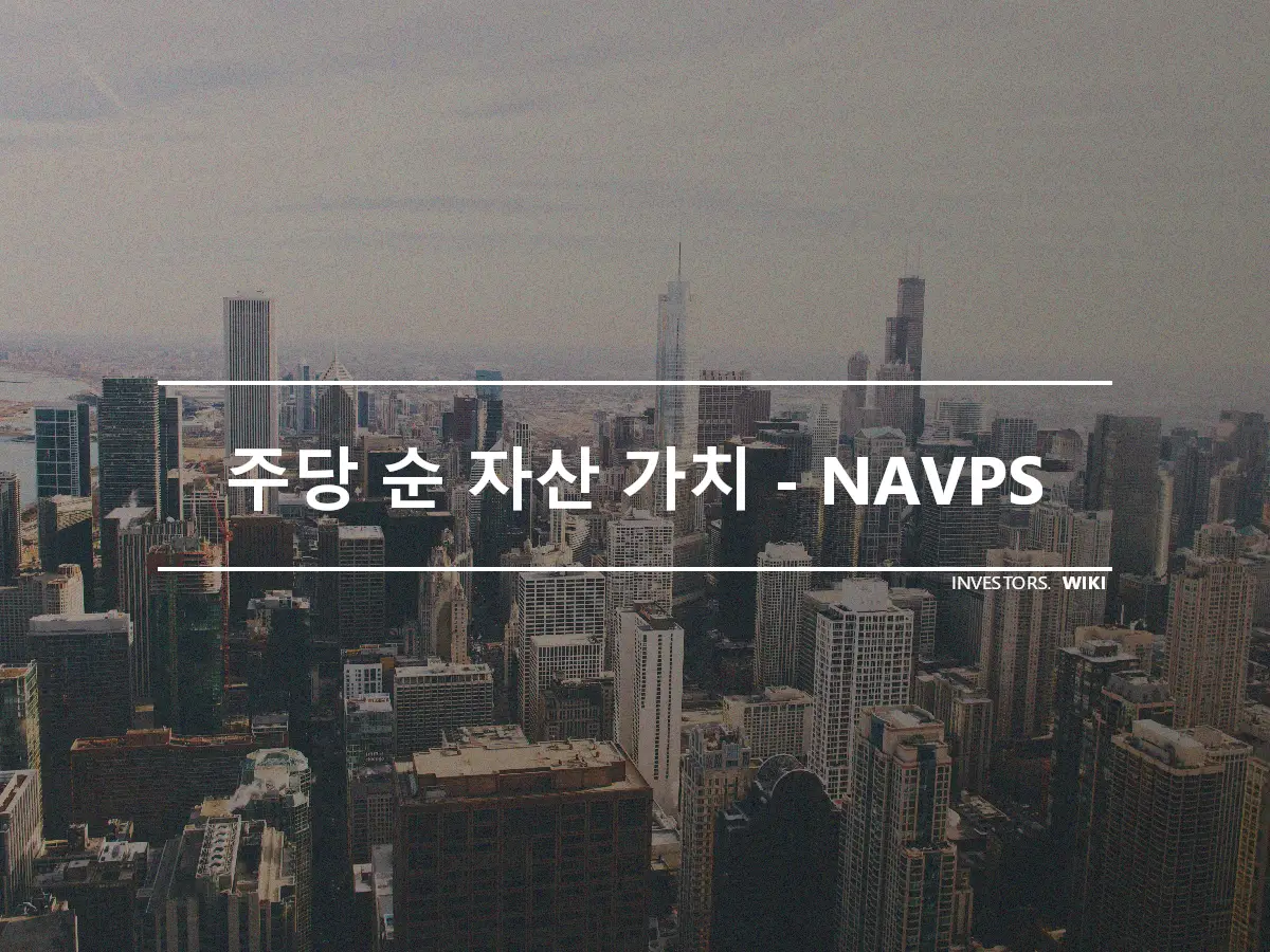 주당 순 자산 가치 - NAVPS