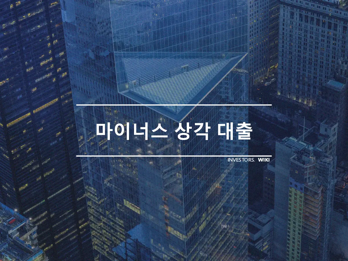 마이너스 상각 대출