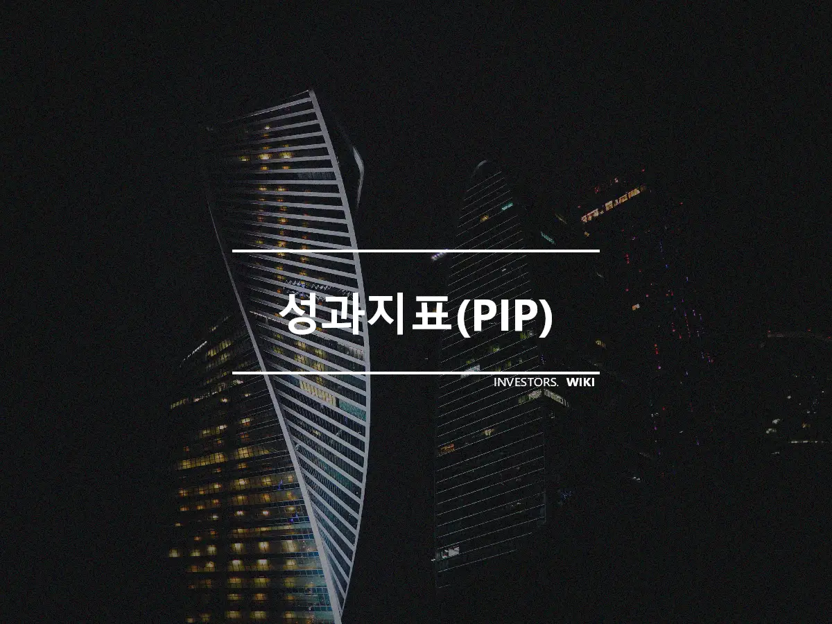 성과지표(PIP)