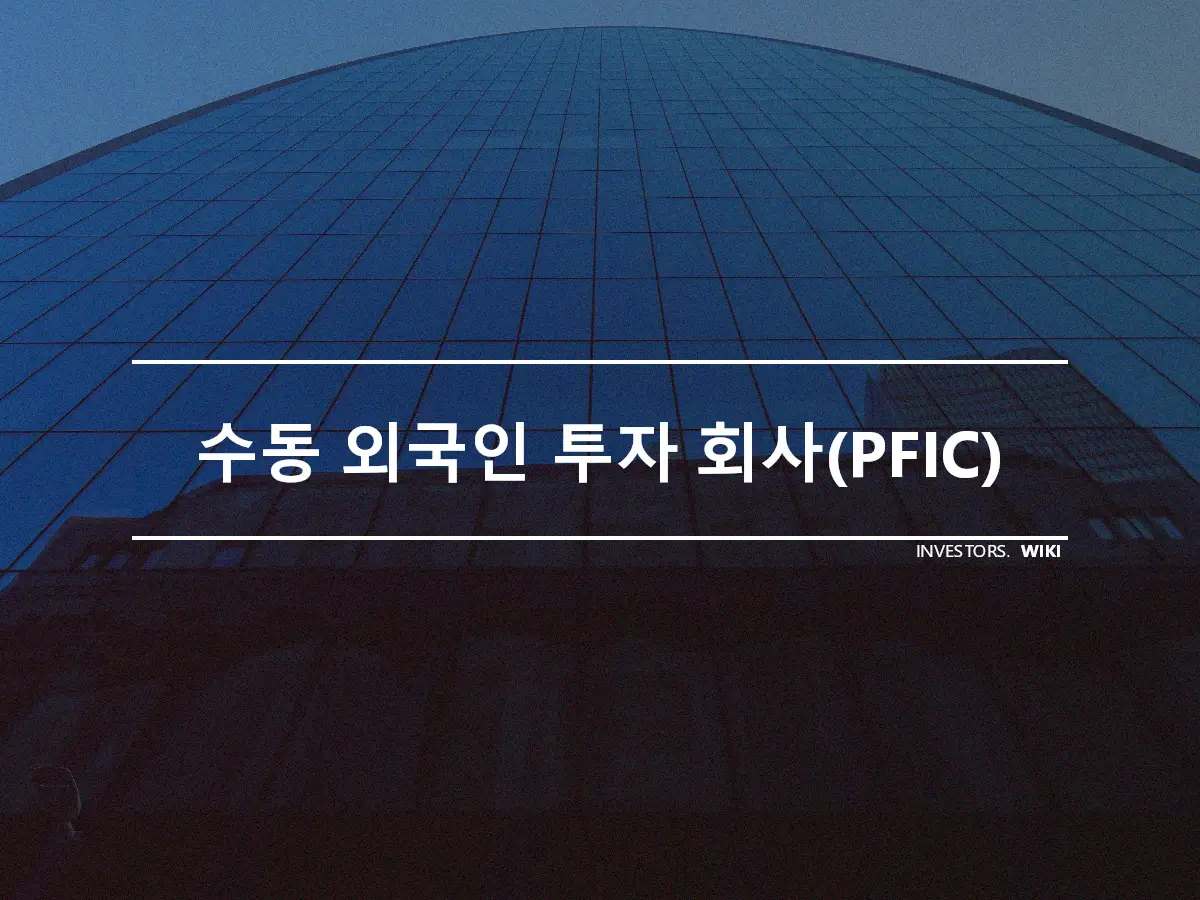 수동 외국인 투자 회사(PFIC)