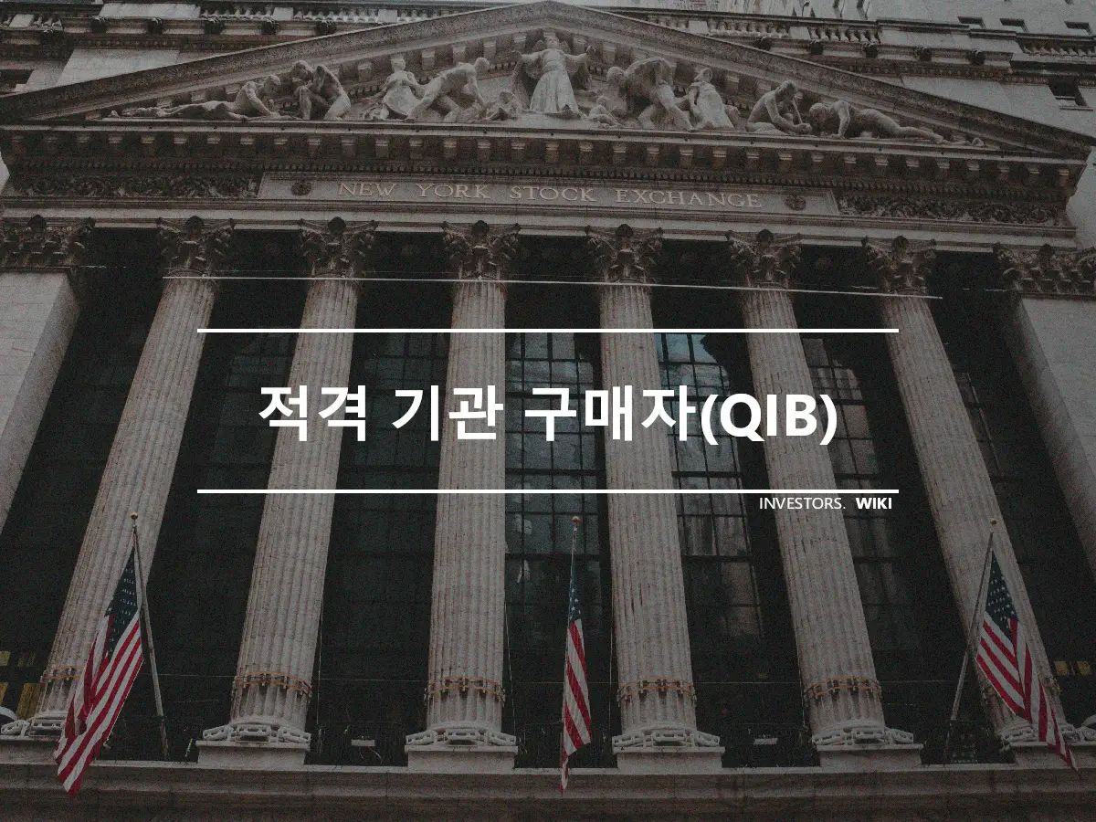 적격 기관 구매자(QIB)