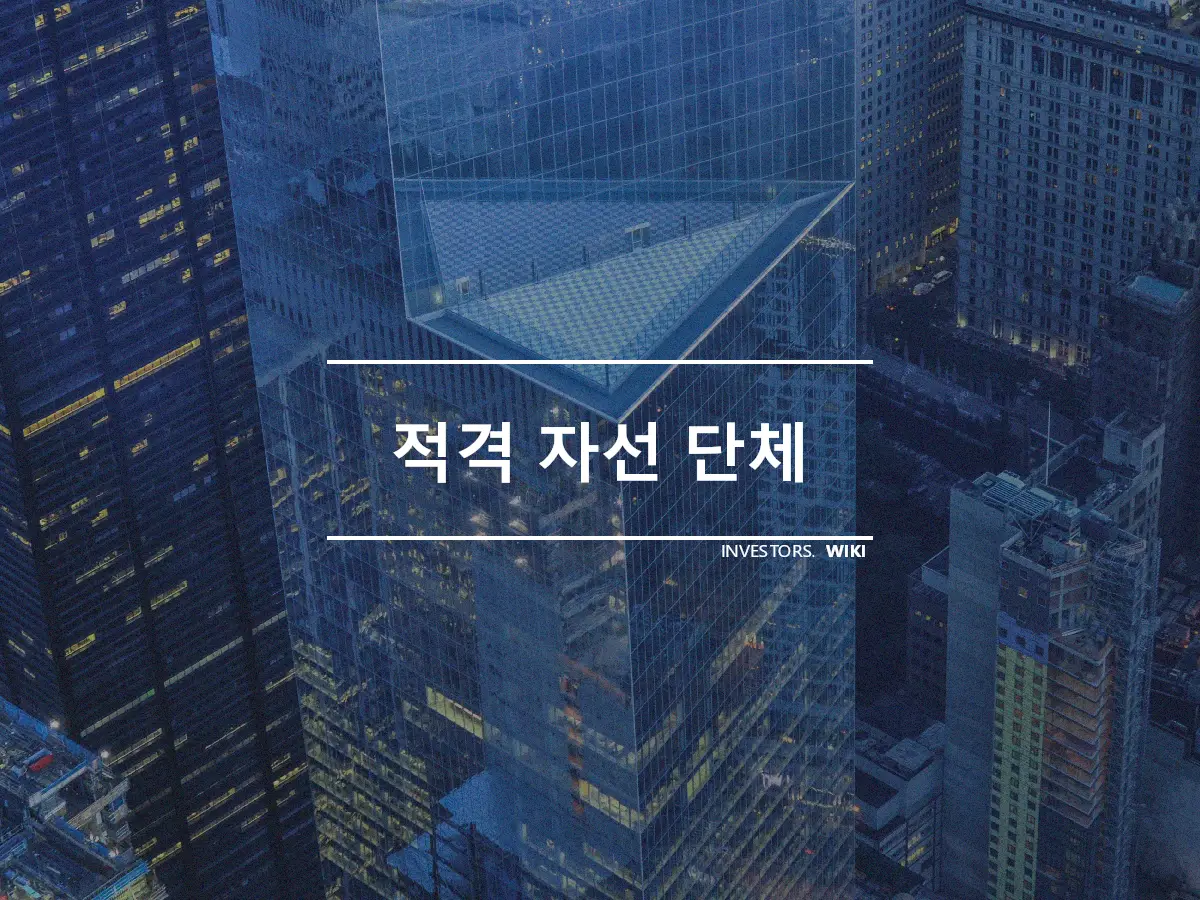 적격 자선 단체