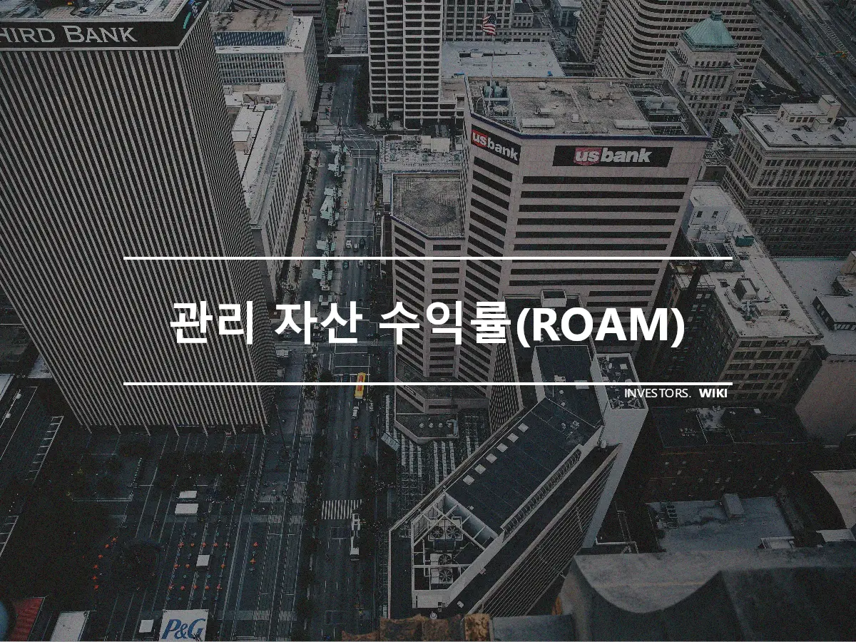 관리 자산 수익률(ROAM)