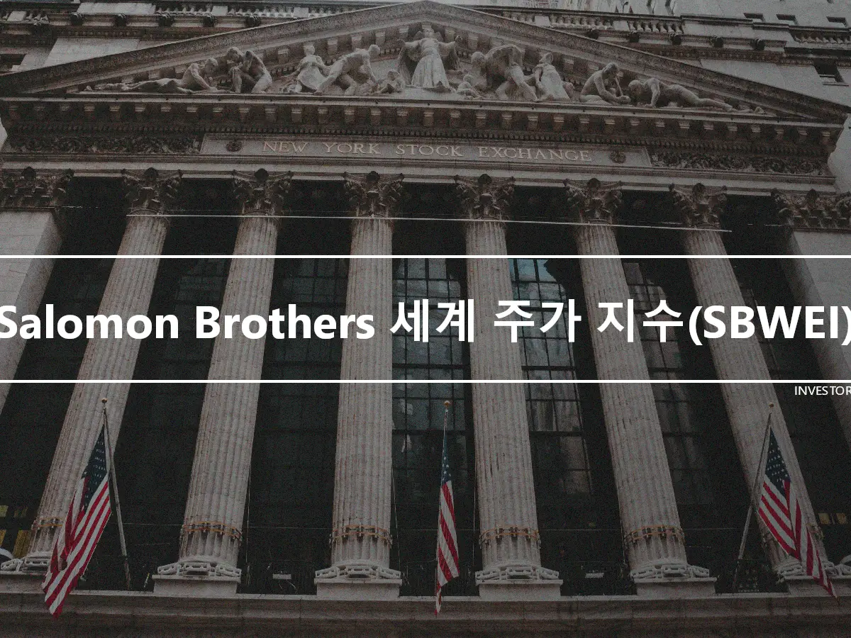 Salomon Brothers 세계 주가 지수(SBWEI)