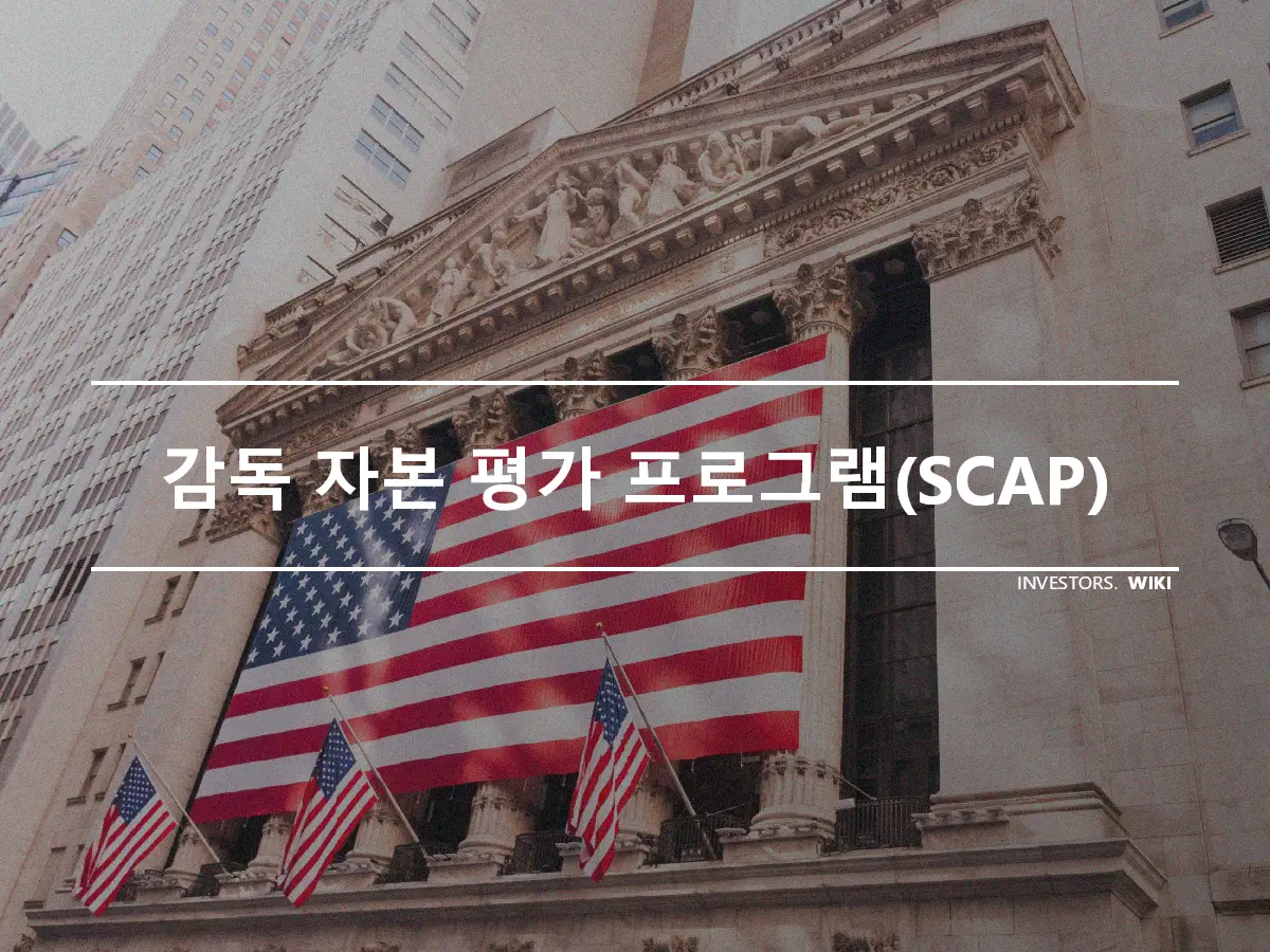 감독 자본 평가 프로그램(SCAP)