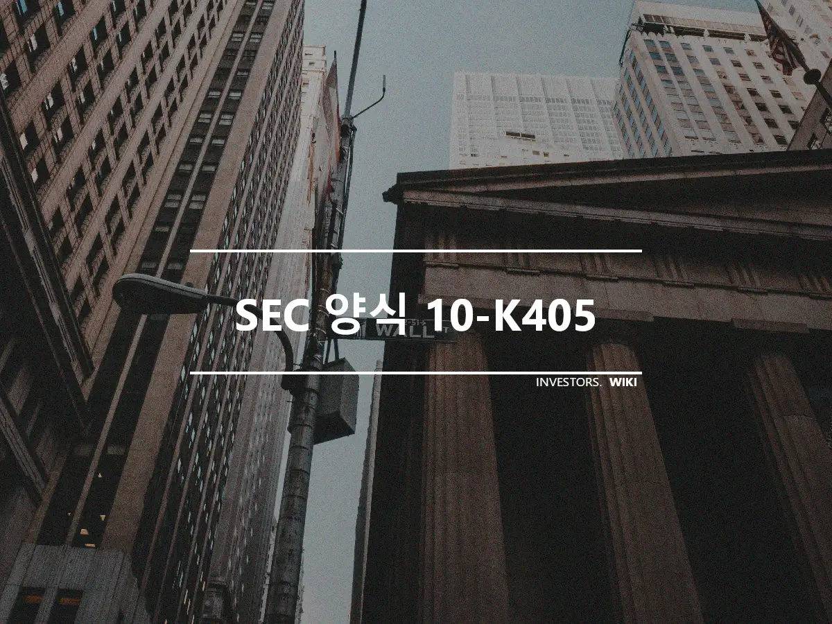 SEC 양식 10-K405