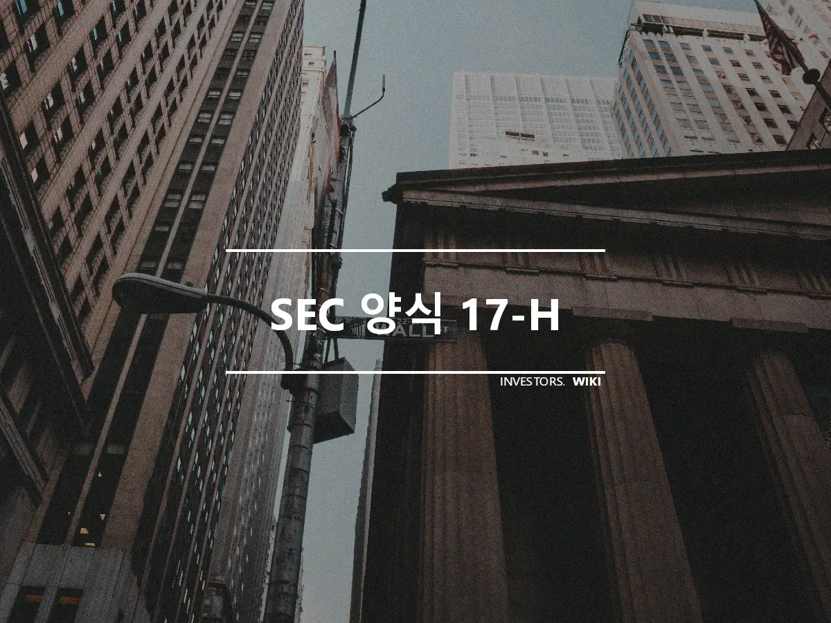 SEC 양식 17-H