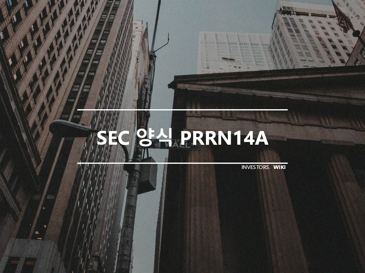 SEC 양식 PRRN14A
