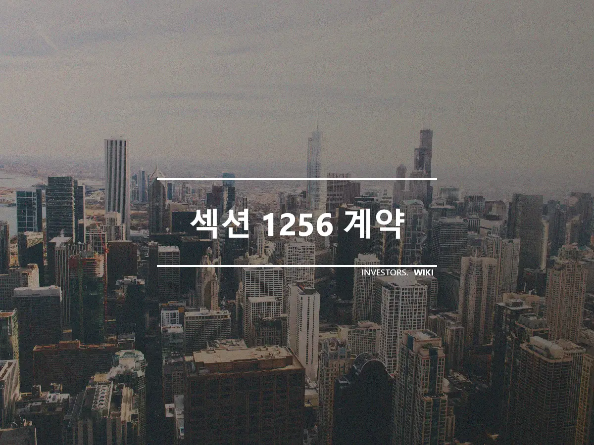 섹션 1256 계약